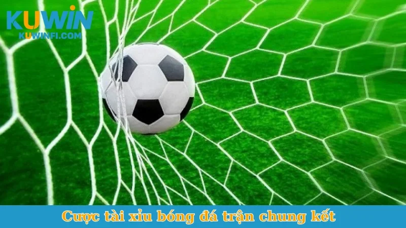 Cược tài xỉu bóng đá trận chung kết
