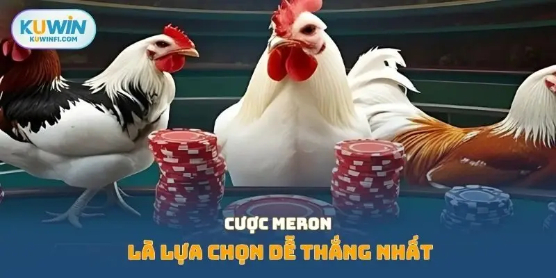 Cược Meron là lựa chọn dễ thắng nhất