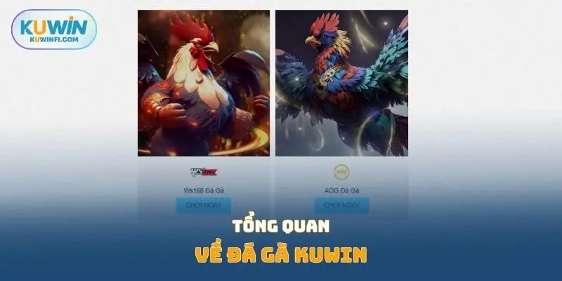 Tổng quan về đá gà KUWIN 